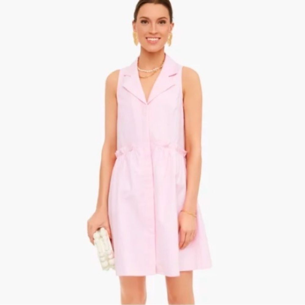 NWT Tuckernuck Pink Oxford Sleeveless Royal Shirt Dress Size XS